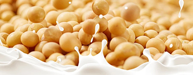 熱烈慶祝公司網(wǎng)站建設成功